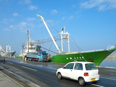 kamome1226a.jpg