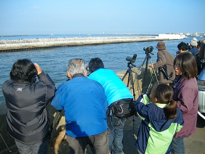 kamome1226b.jpg