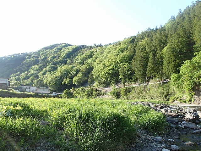 kan0507d.jpg