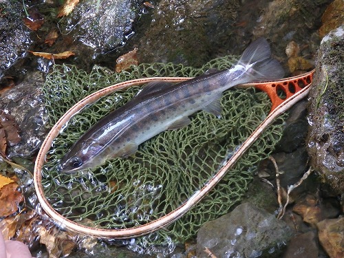 kan0913g.jpg