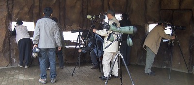 kasai0316a.jpg