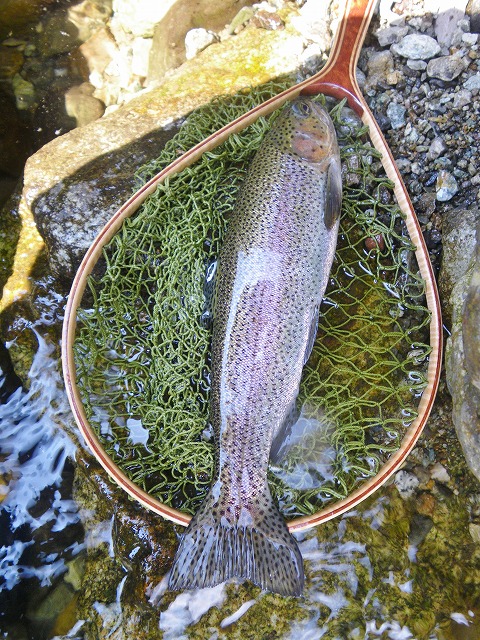kawa0709b.jpg