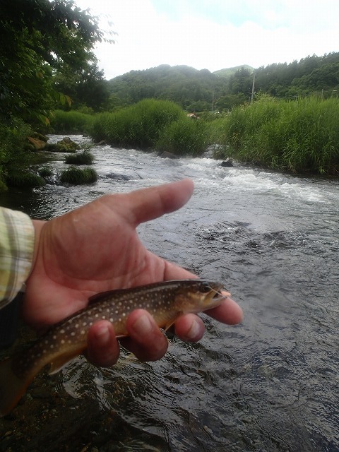 kawa0716c.jpg