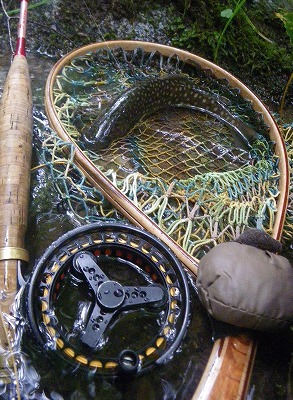 kawa0718a.jpg