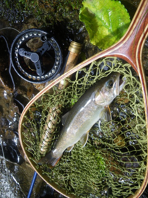 kin0730f.jpg