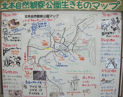 kita0209.jpg