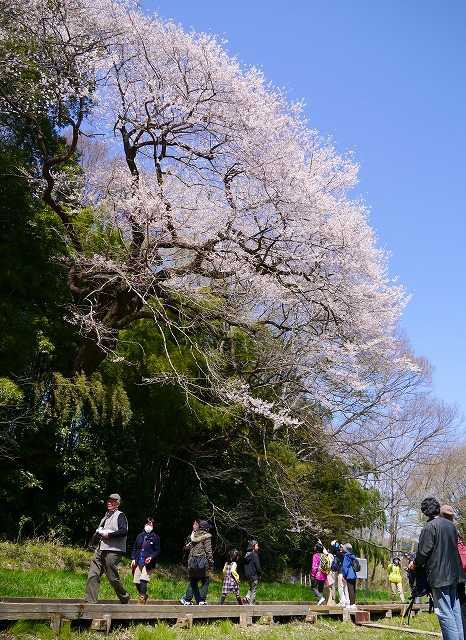 kita0409c.jpg