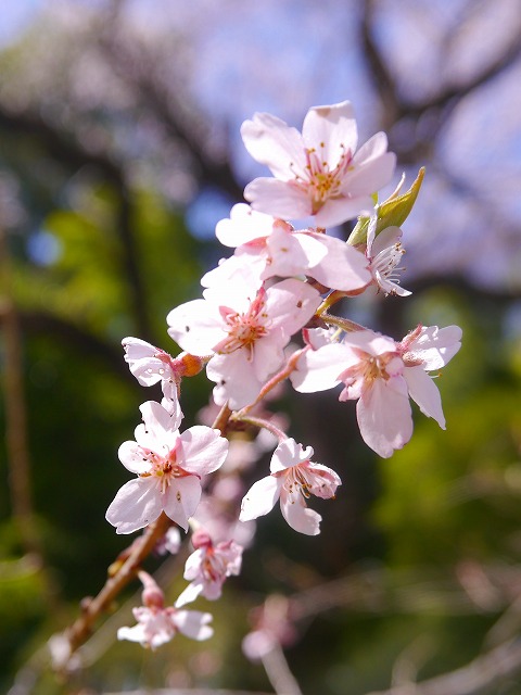 kita0409d.jpg