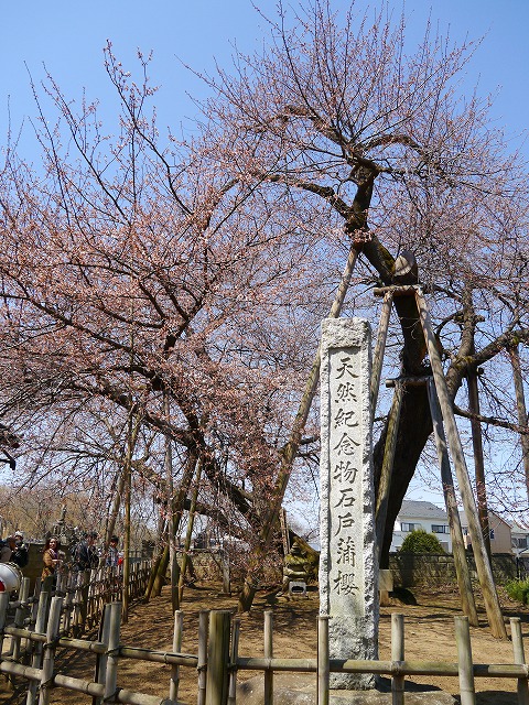 kita0409g.jpg