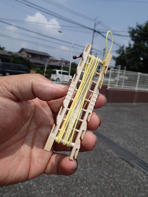 kumo0729a.jpg