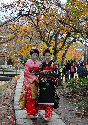 maiko1128.jpg
