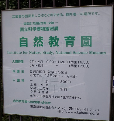 meguro1020a.jpg