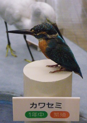 meguro1020b.jpg