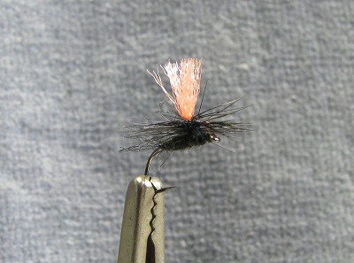 mizunashi0608a.jpg