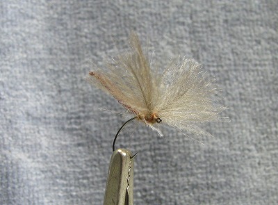 mizunashi0608b.jpg