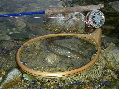 mizunashi0608d.jpg