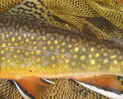 moyou0930a.jpg