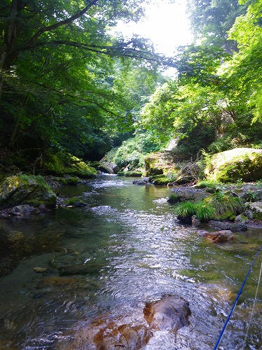 naka0828a.jpg