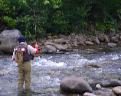 niigata0823a.jpg