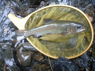 niji0722.jpg