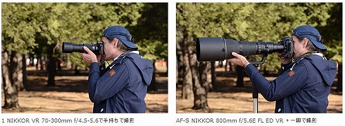 nikon1v3d.jpg