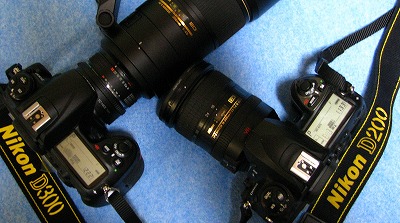 nikonD200D300.jpg