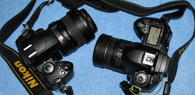 nikonD40D70.jpg