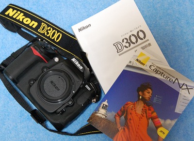 nikond300.jpg