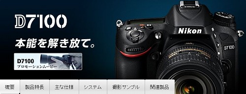nikond7100a.jpg