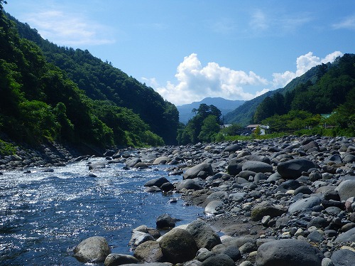 nishi0812a.jpg