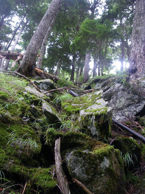 noro0809ae.jpg