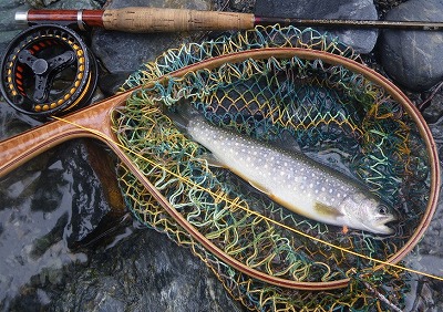 noro0809c.jpg