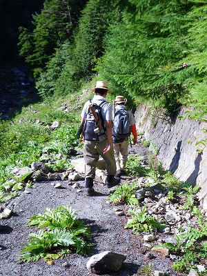 noro0811d.jpg