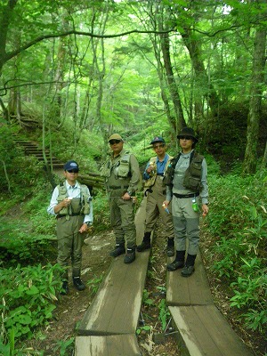 ny0801x.jpg