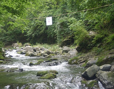 nyuukei0819.jpg