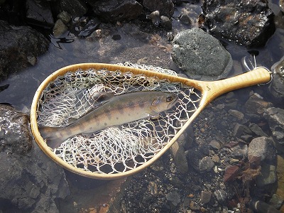 ogawa0305.jpg