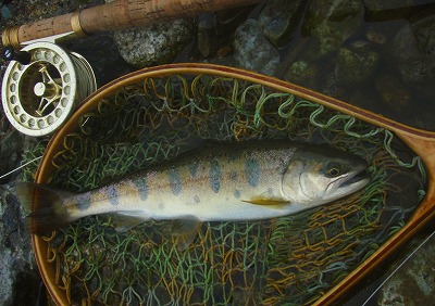 oji0530b.jpg