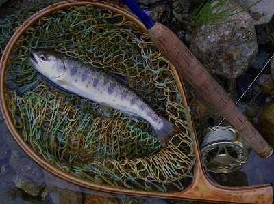 oji0530g.jpg