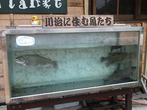 oji0621i.jpg