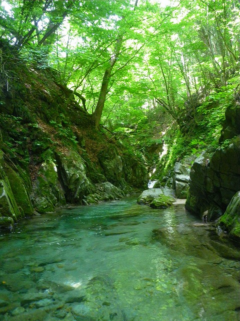 oji0701a.jpg