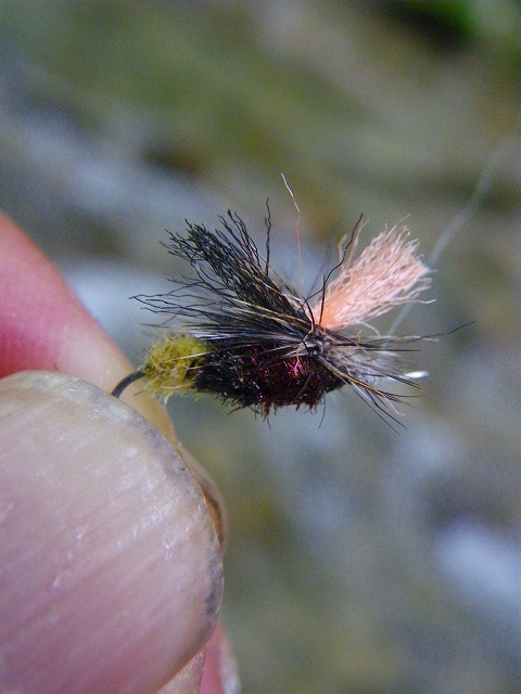 oji0701c.jpg
