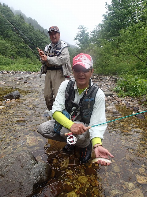 okrod0620a.jpg