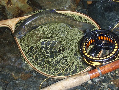 oksa0907c.jpg
