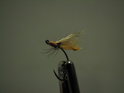 oksckb0528e.jpg
