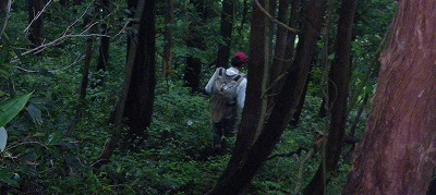 okt0705b.jpg
