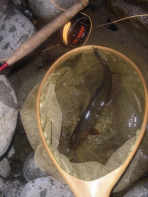 okura0622b.jpg