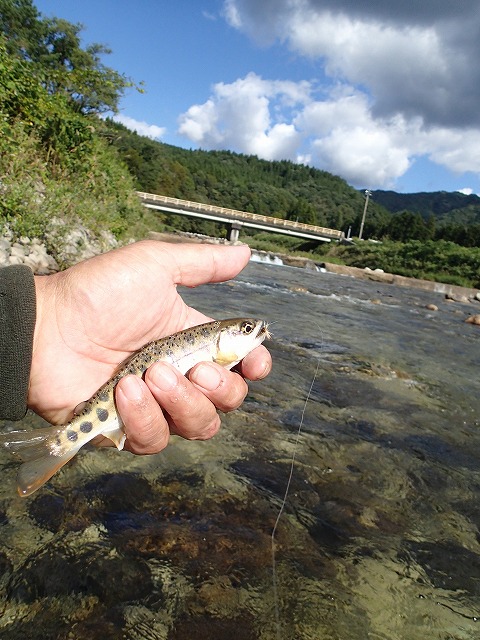 on0927a1.jpg