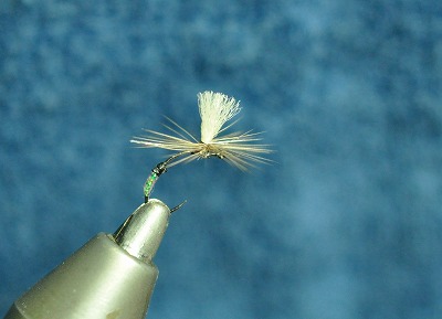 pd0420c.jpg