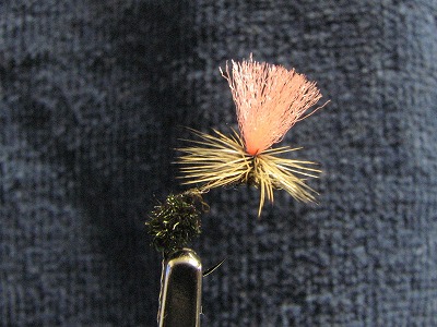 pubol0211a.jpg