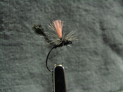 pudol0211c.jpg